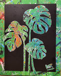 Monstera